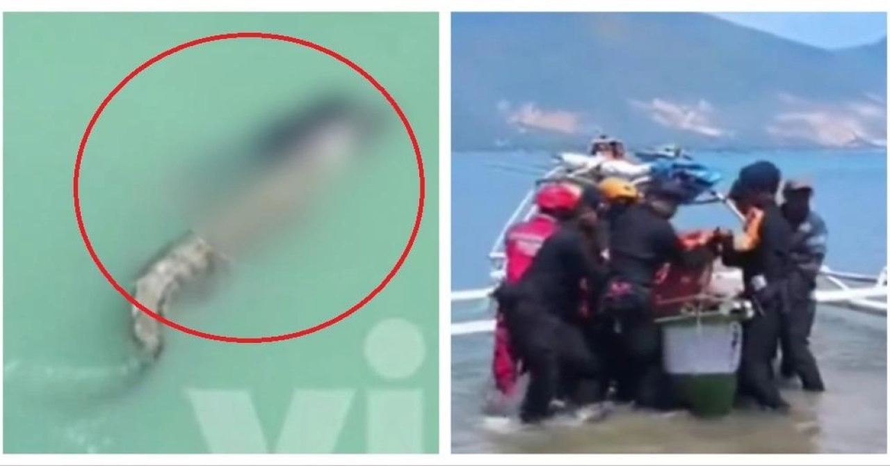 S plaže su mu vikali što pliva iza njega. Nažalost, bilo je prekrasno, preostalo je samo da u šoku isprate tragediju
